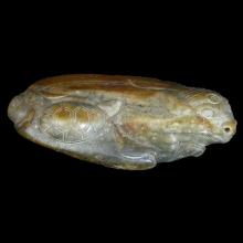 Buffle couch� et tortue en jade